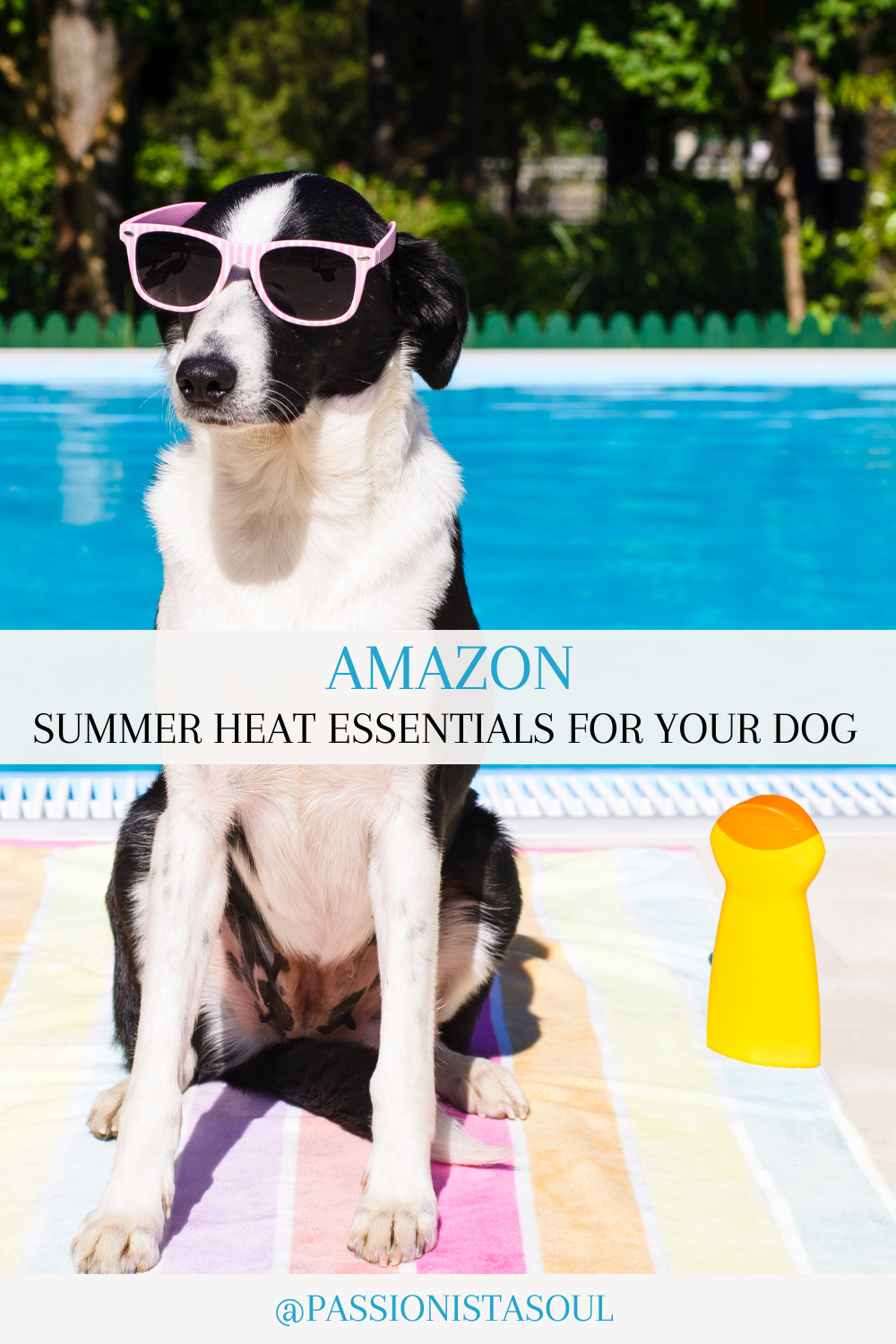 Top Summer Dog Finds on Amazon: Must-Haves for Your Furry Friend