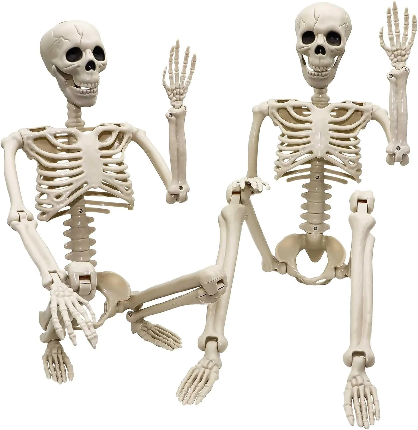Halloween Skeletons