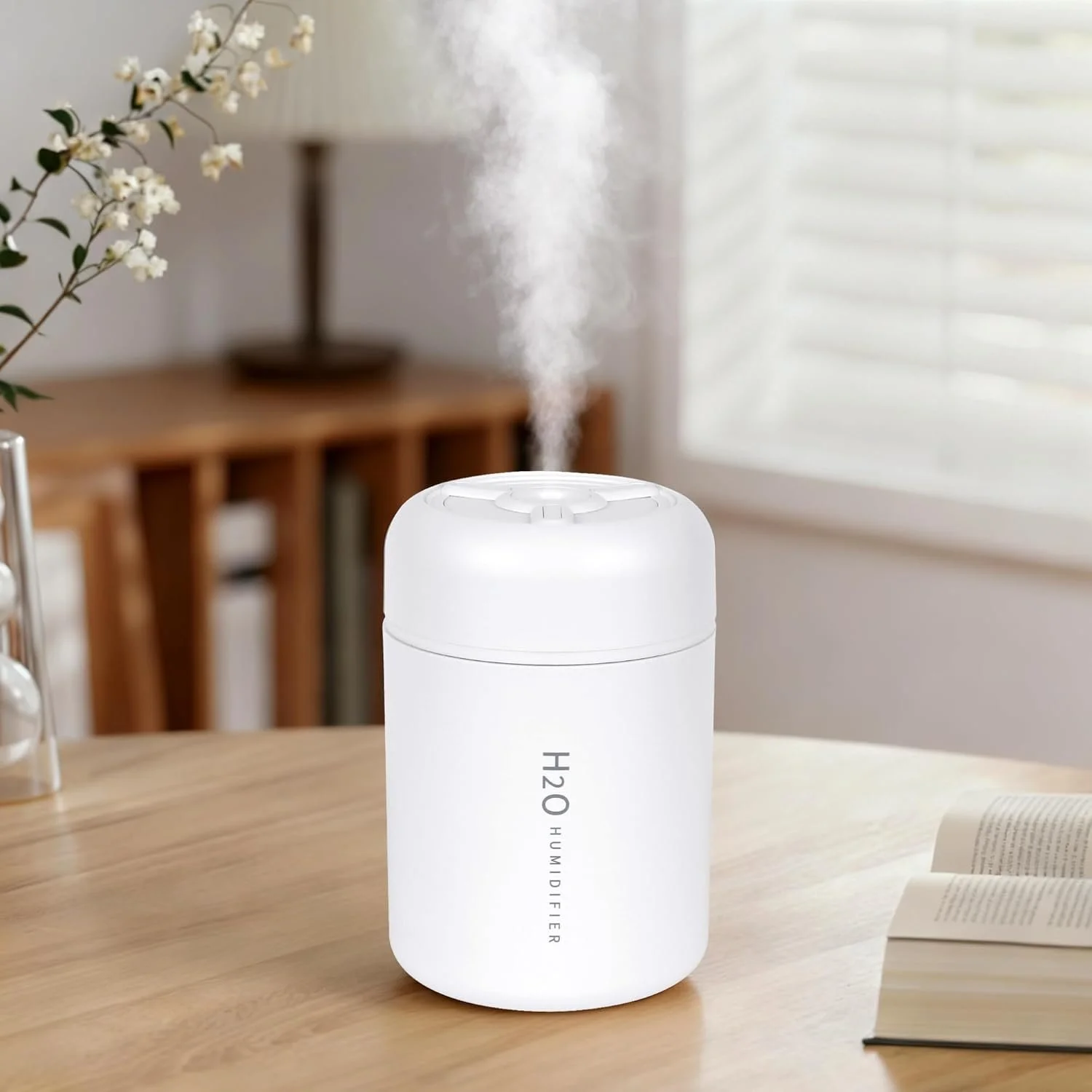 Portable Mini Humidifier
