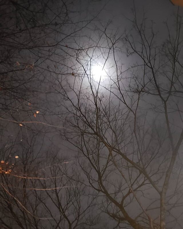 Wolf full moon + Lunar eclipse! 
#pizerfineart #moonbath #nosleep