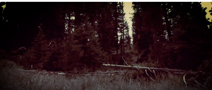 Screen Shot 2020-04-07 at 2.17.44 PM.png