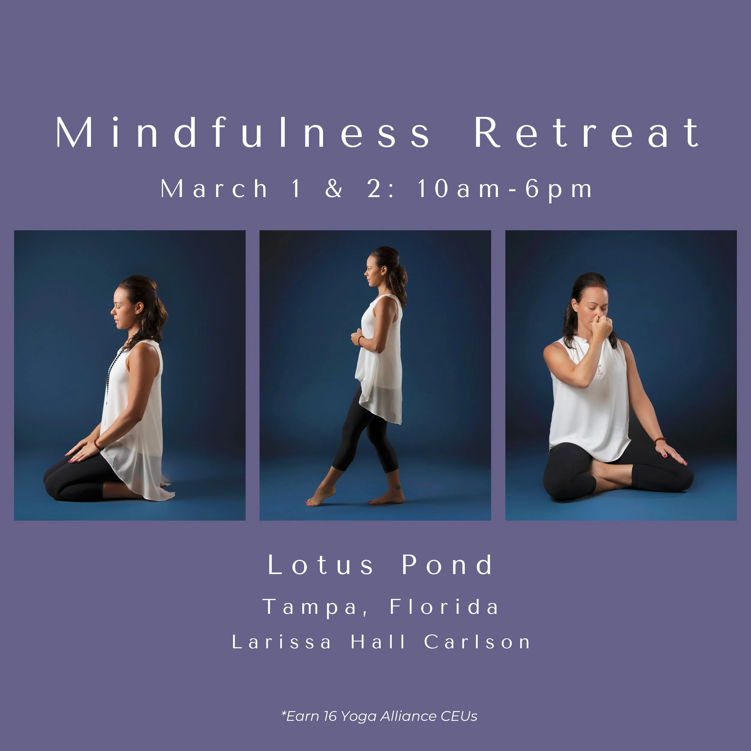 Mindfulness Retreat: Lotus Pond, Tampa, FL  
