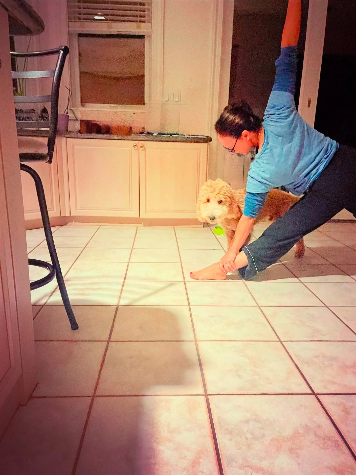 At 5:30am, before a full day of teaching advanced pranayama for the YTT300 at Lotus Pond, I found a moment for trikonasana in pajamas in Pam&rsquo;s kitchen&mdash;complete with her pup playfully circling under my stance. 🐾

For me, maintaining a dai