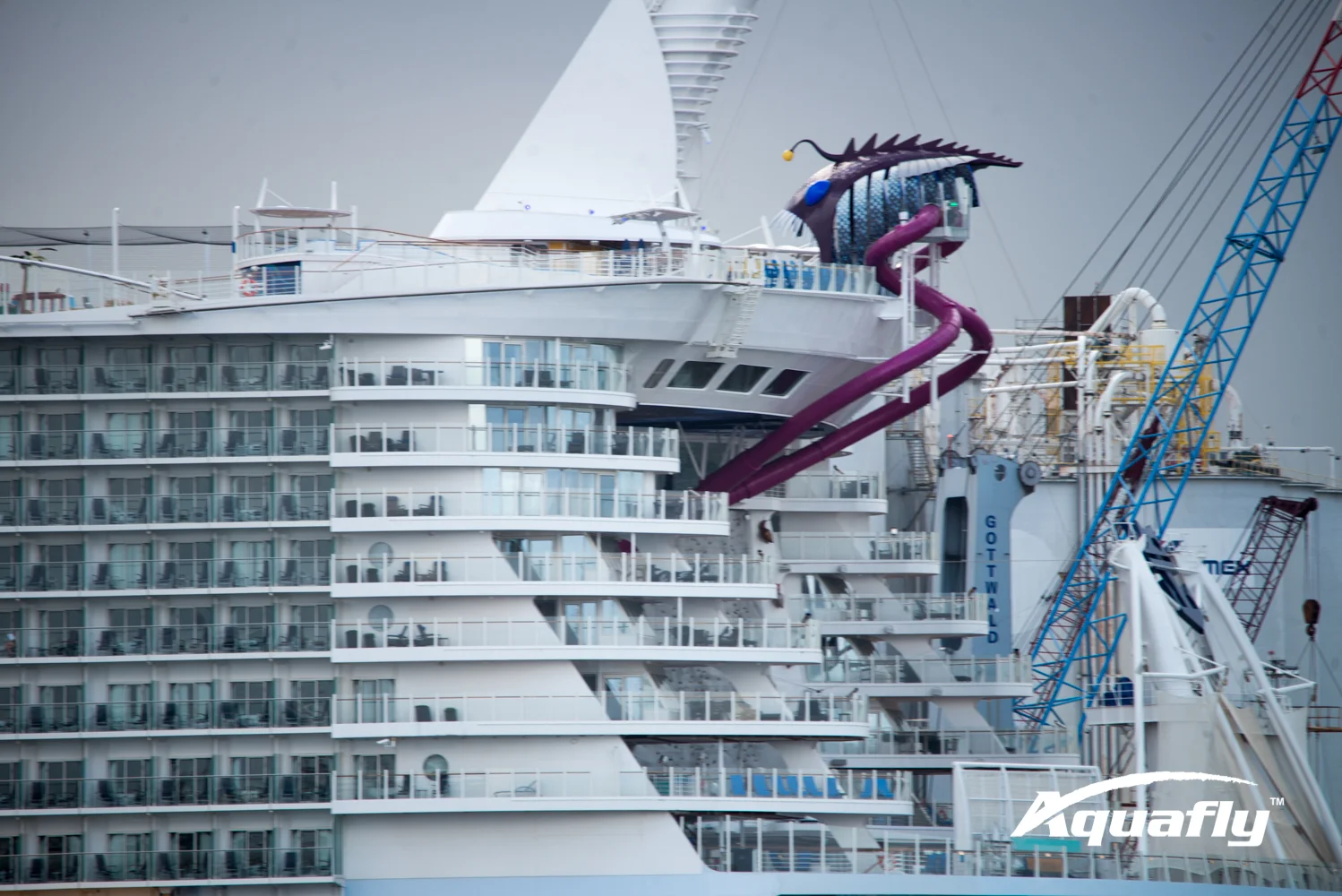 Harmony of the Seas-2138.JPG