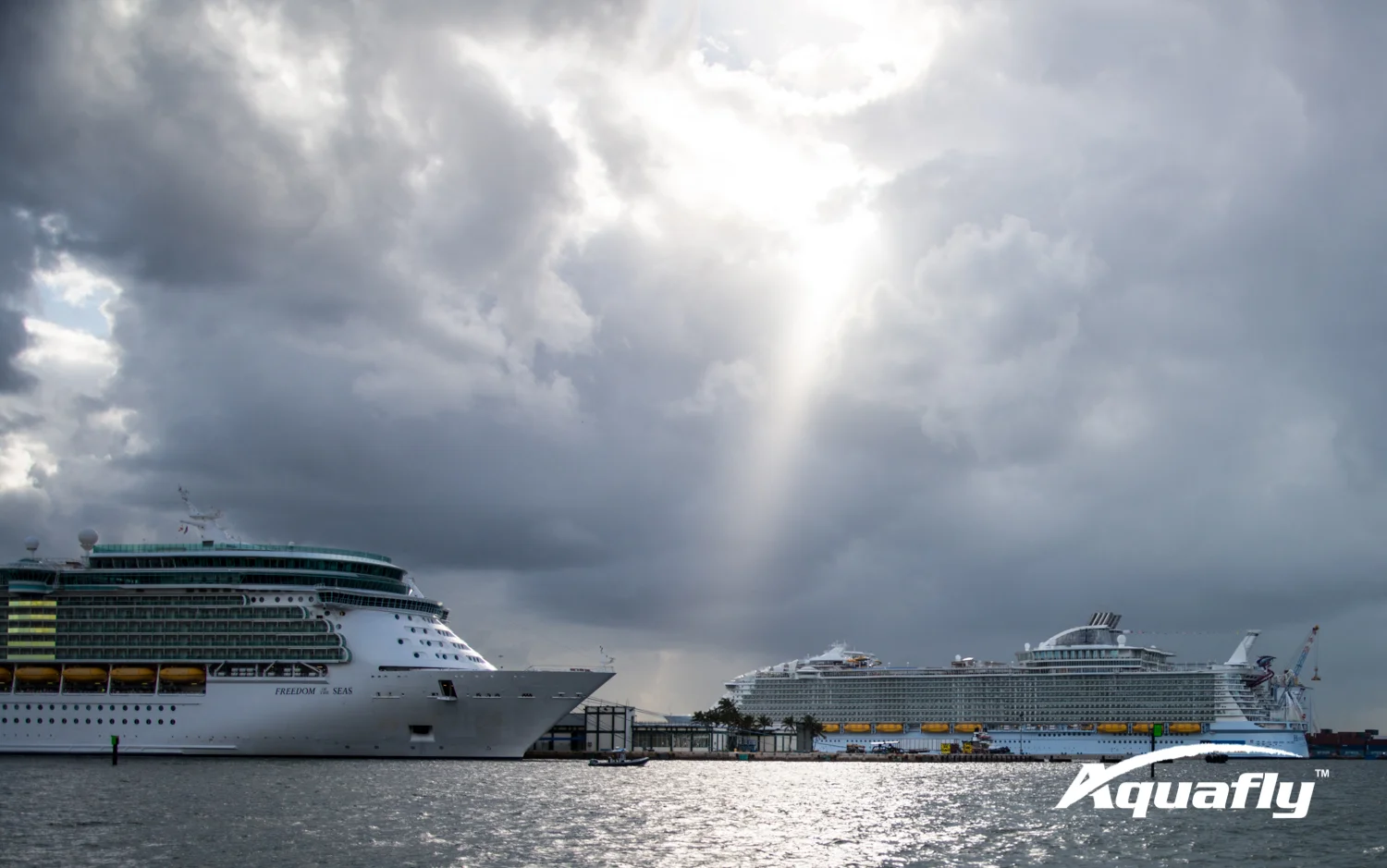 Harmony of the Seas-2142.JPG