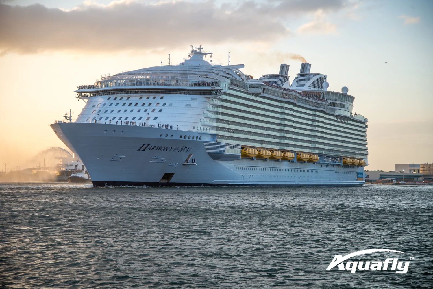 Harmony of the Seas-2311.JPG