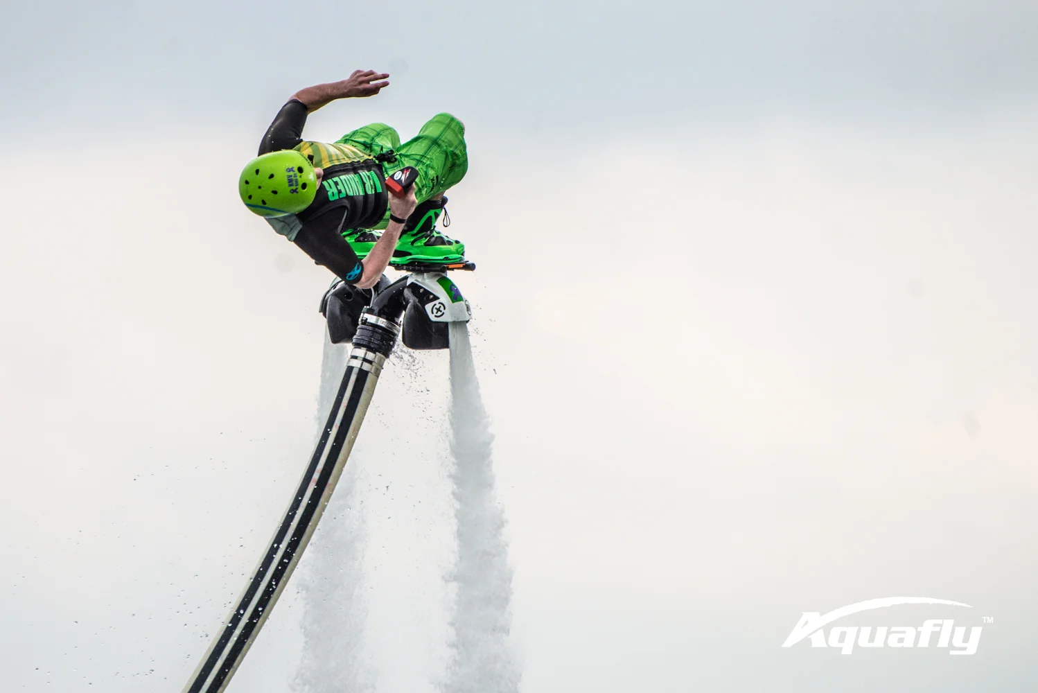 Hunter 2-19-17-3228.JPG