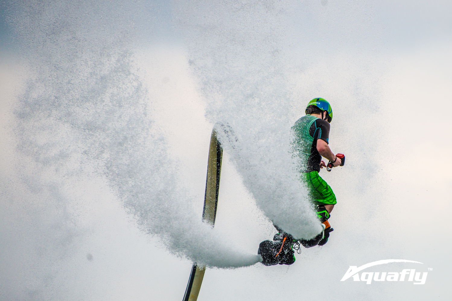 Hunter 2-19-17-3230.JPG