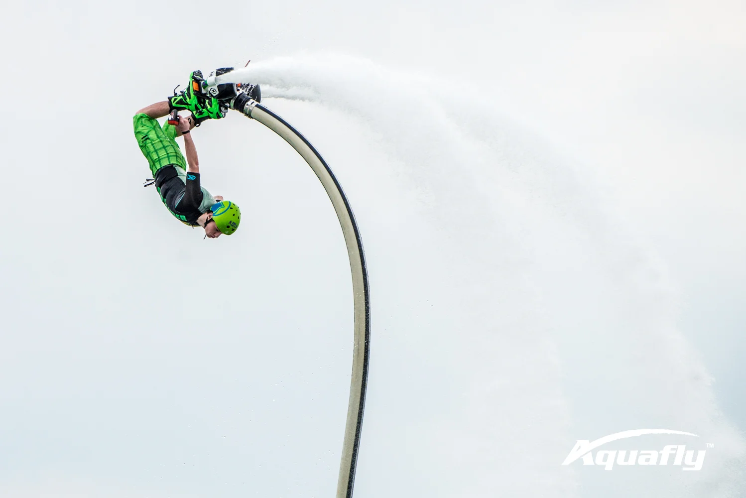 Hunter 2-19-17-3236.JPG