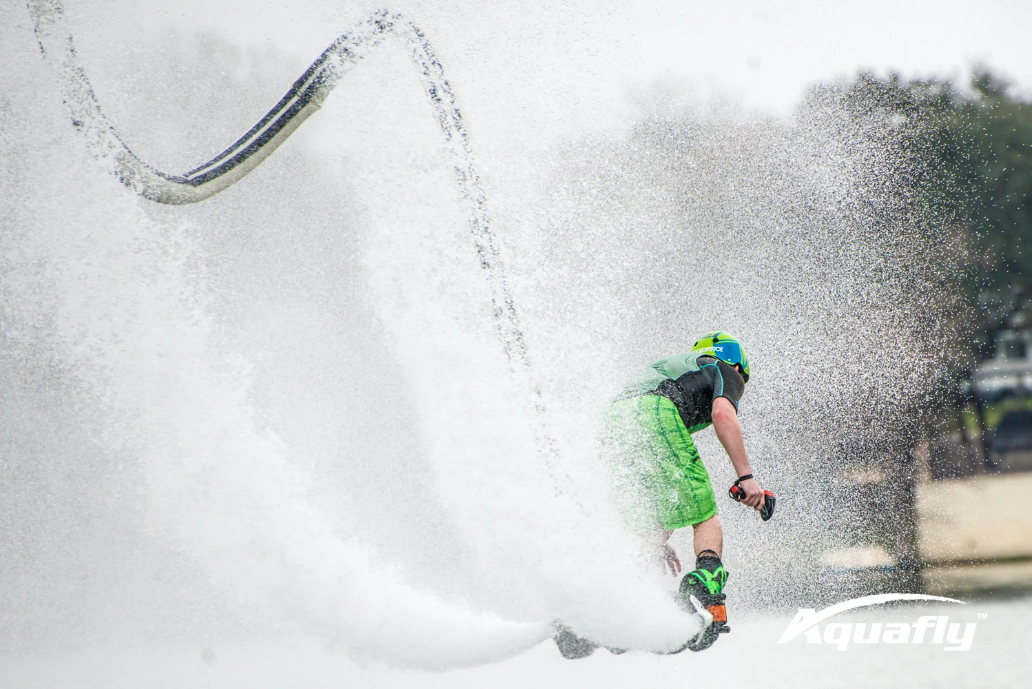 Hunter 2-19-17-3233.JPG