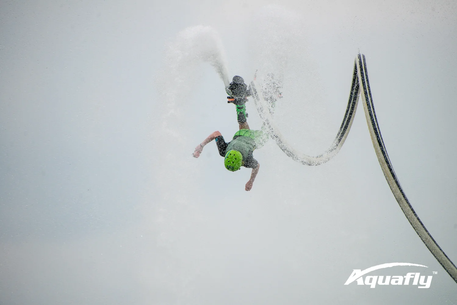 Hunter 2-19-17-3304.JPG