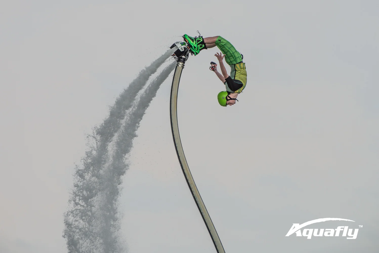 Hunter 2-19-17-3492.JPG