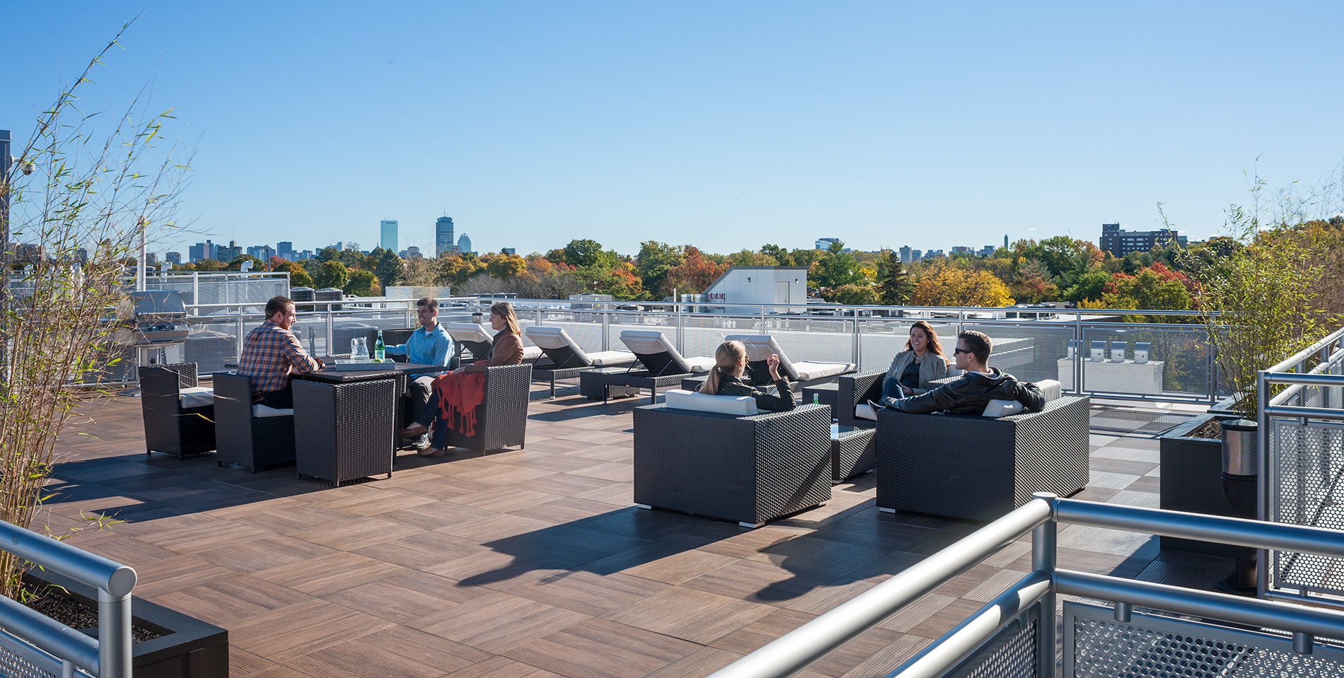We enjoy great views of Boston from the Allston Green District's Eco rooftop. Self-watering planters filled with Clumping Bamboo, ornamental grasses, and trailing vines screen rooftop utilities.