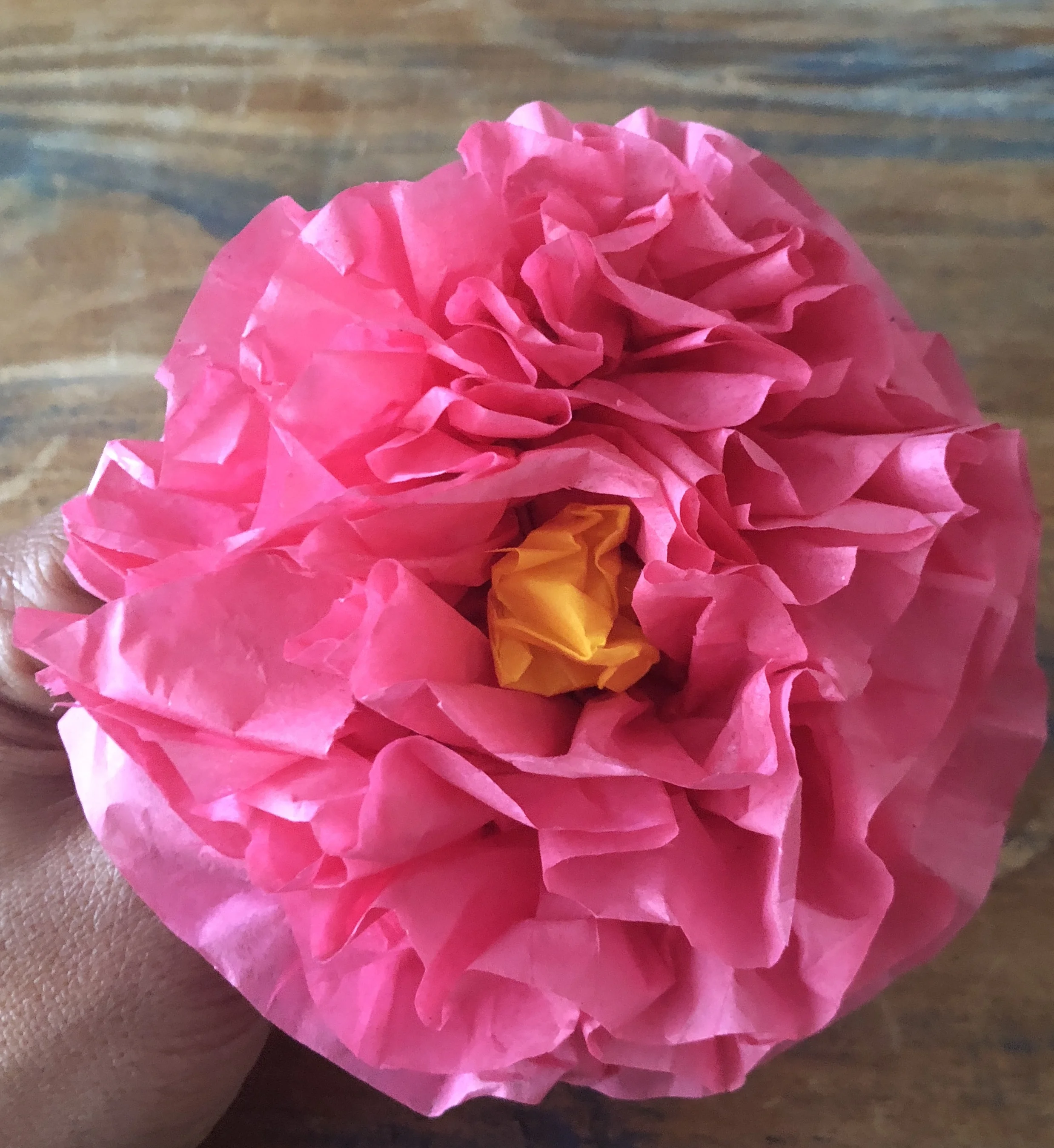Magic Box Monday Crepe Paper Flowers Gina Carroll Has