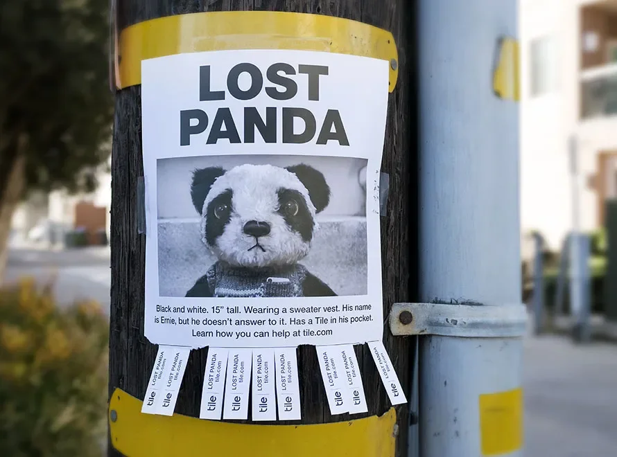 lost-panda.webp