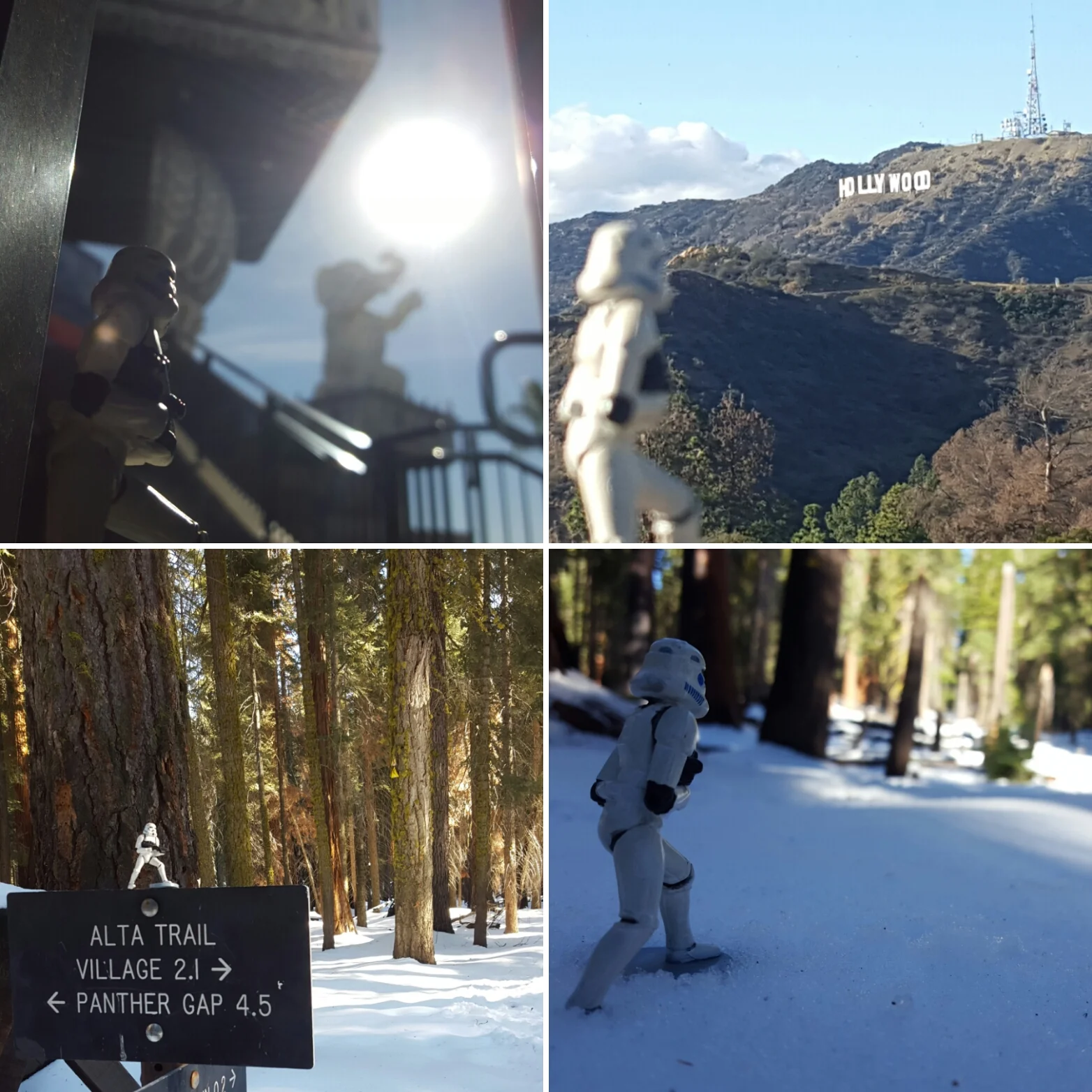 &nbsp;Dave in Hollywood and at Sequoia National Park