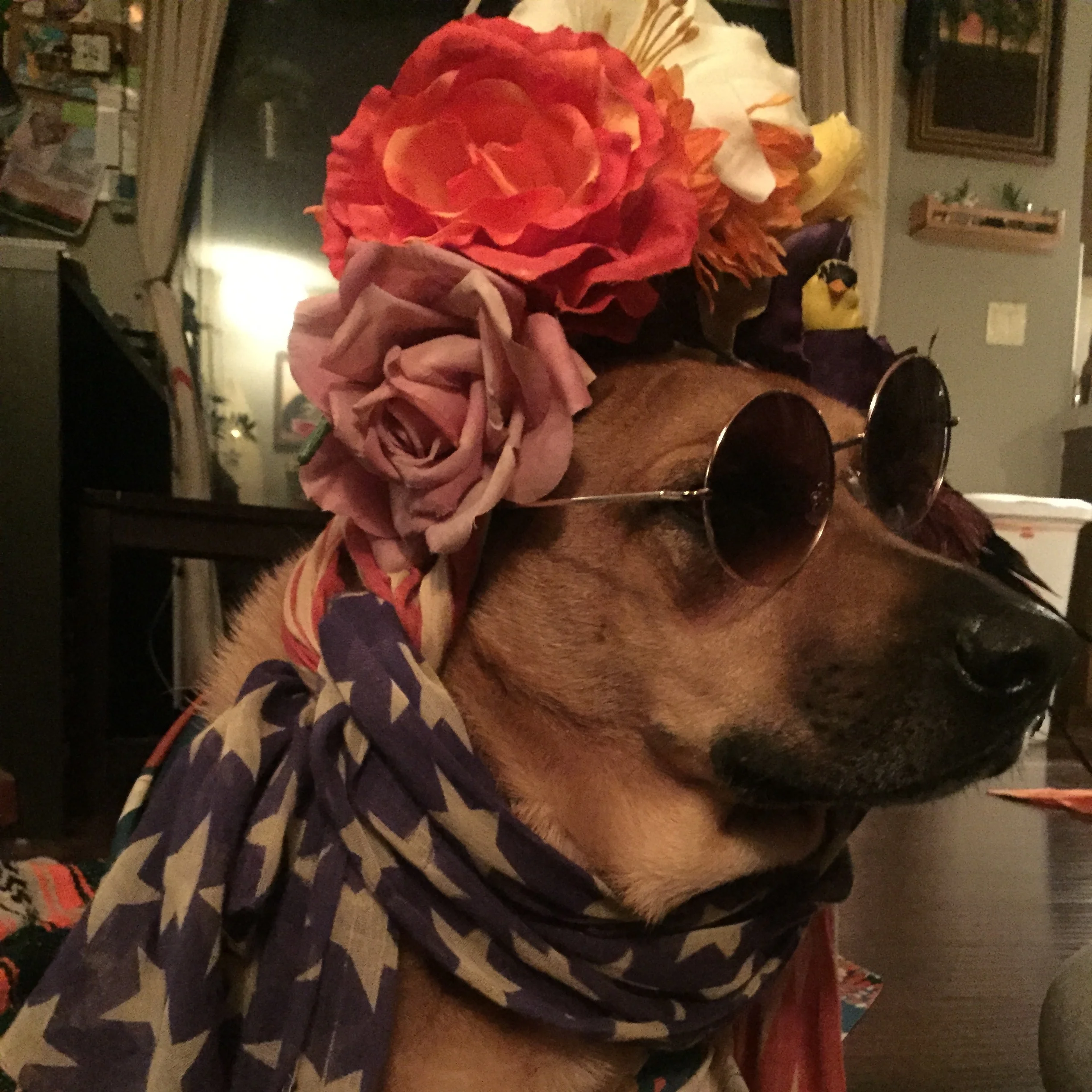 Mr. Corduroy Ichabod Carmichael