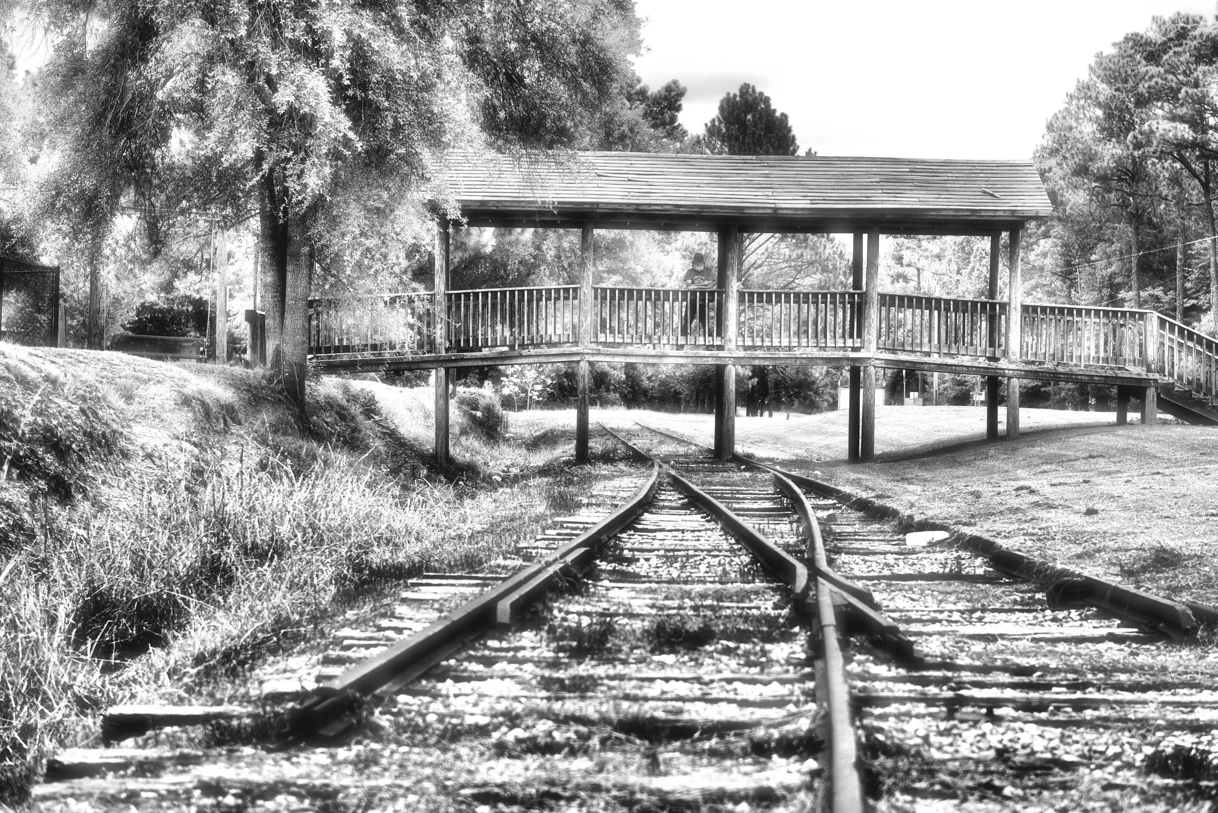 DSC_3644 -1IR2.jpg