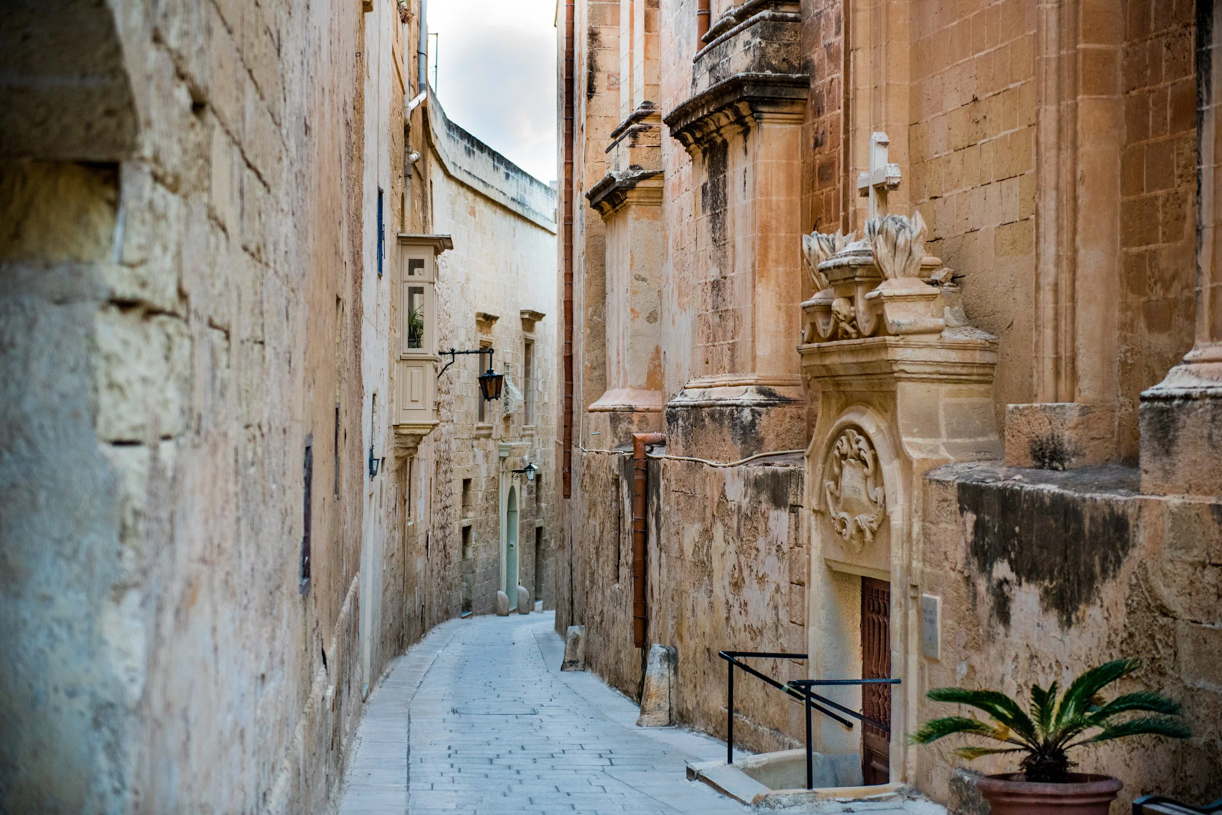 DSC_4231_1.jpg
