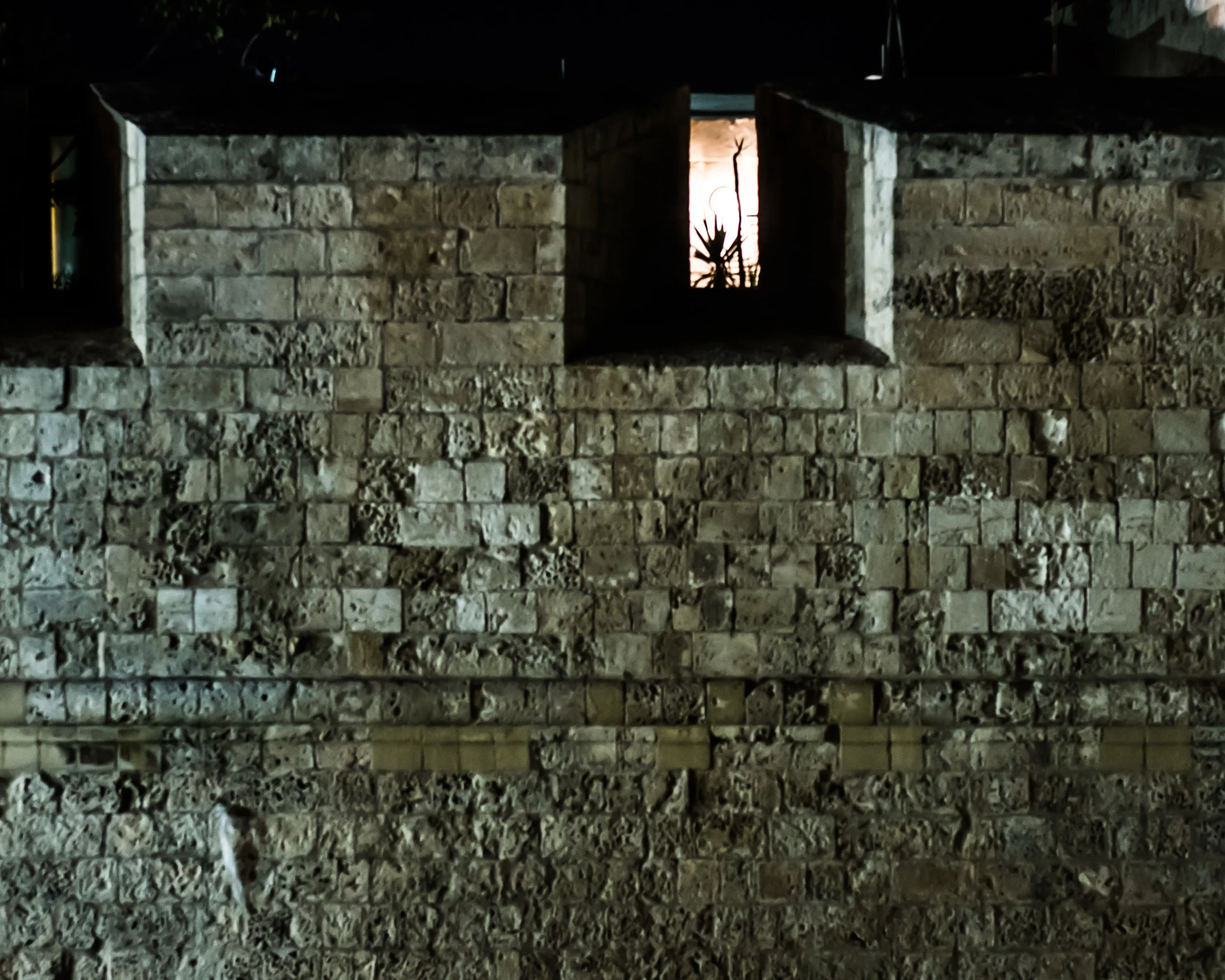 DSC_4277_1.jpg