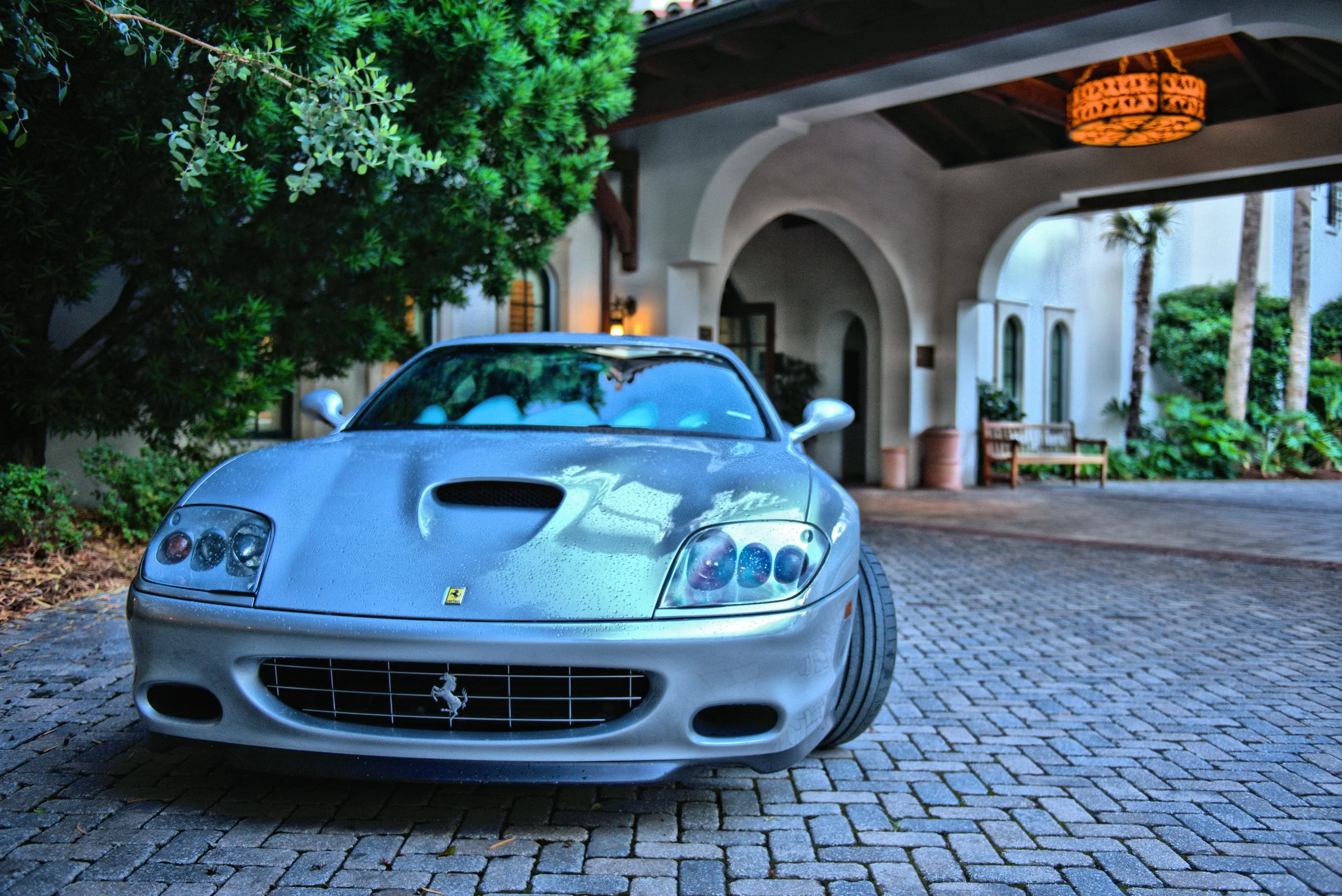 DSC_2542 -1.jpg