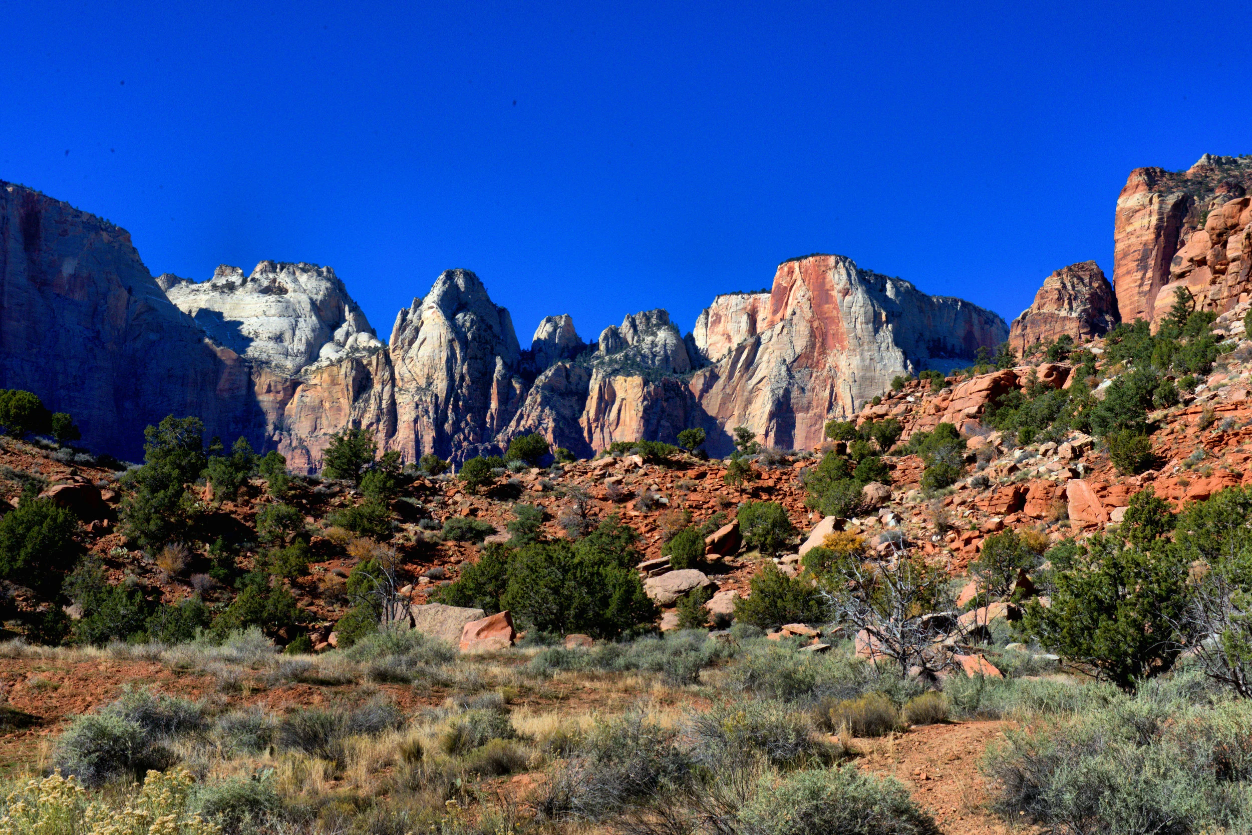 DSC_7614 -1.jpg