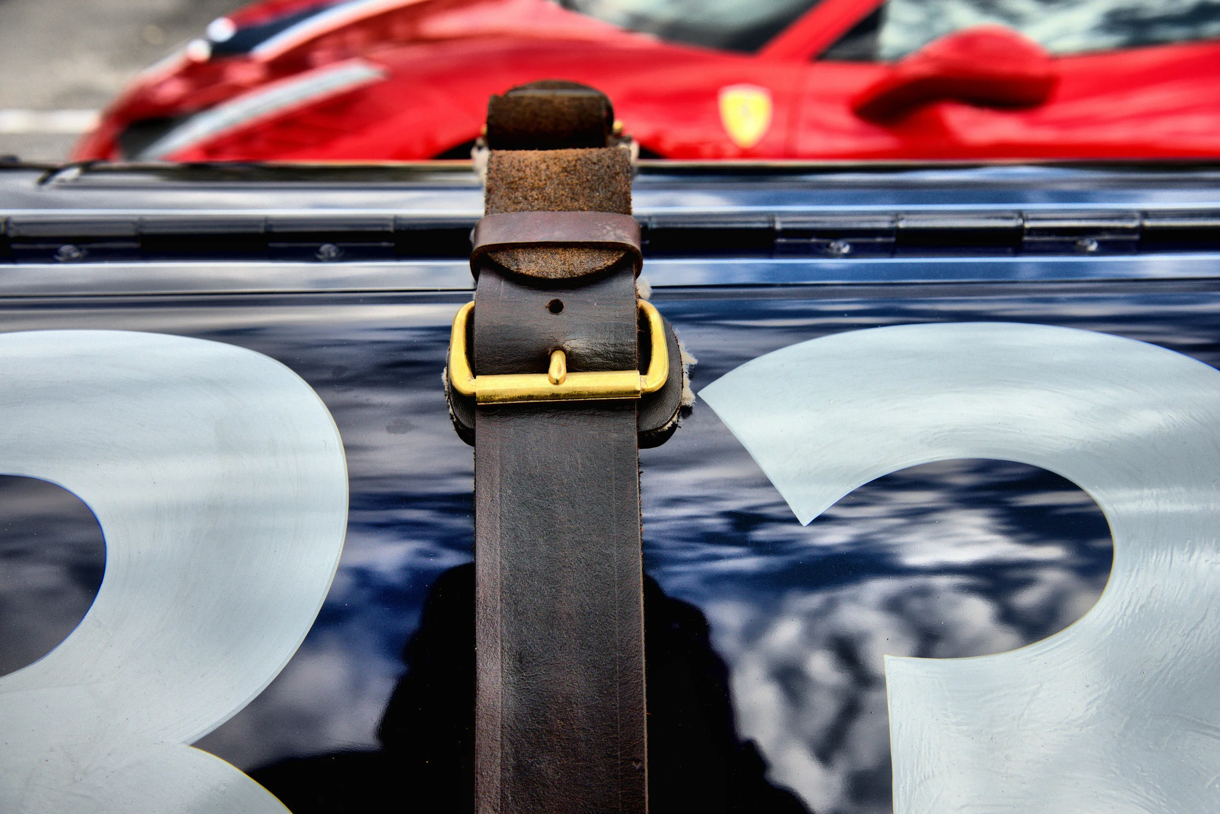 DSC_7949 -1.jpg
