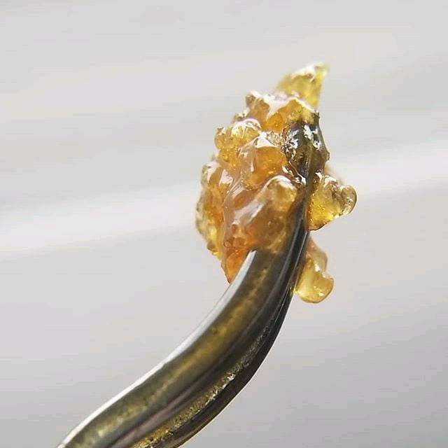 The main differences between #shatter and #liveresin are the flavor profiles, terpene quality, texture, and consistency of the final products. #Dabbers universally agree that live resin has a much fresher flavor profile.⠀⠀
.⠀⠀
.⠀⠀
.⠀⠀
.⠀⠀
.⠀⠀
.⠀⠀
.⠀⠀