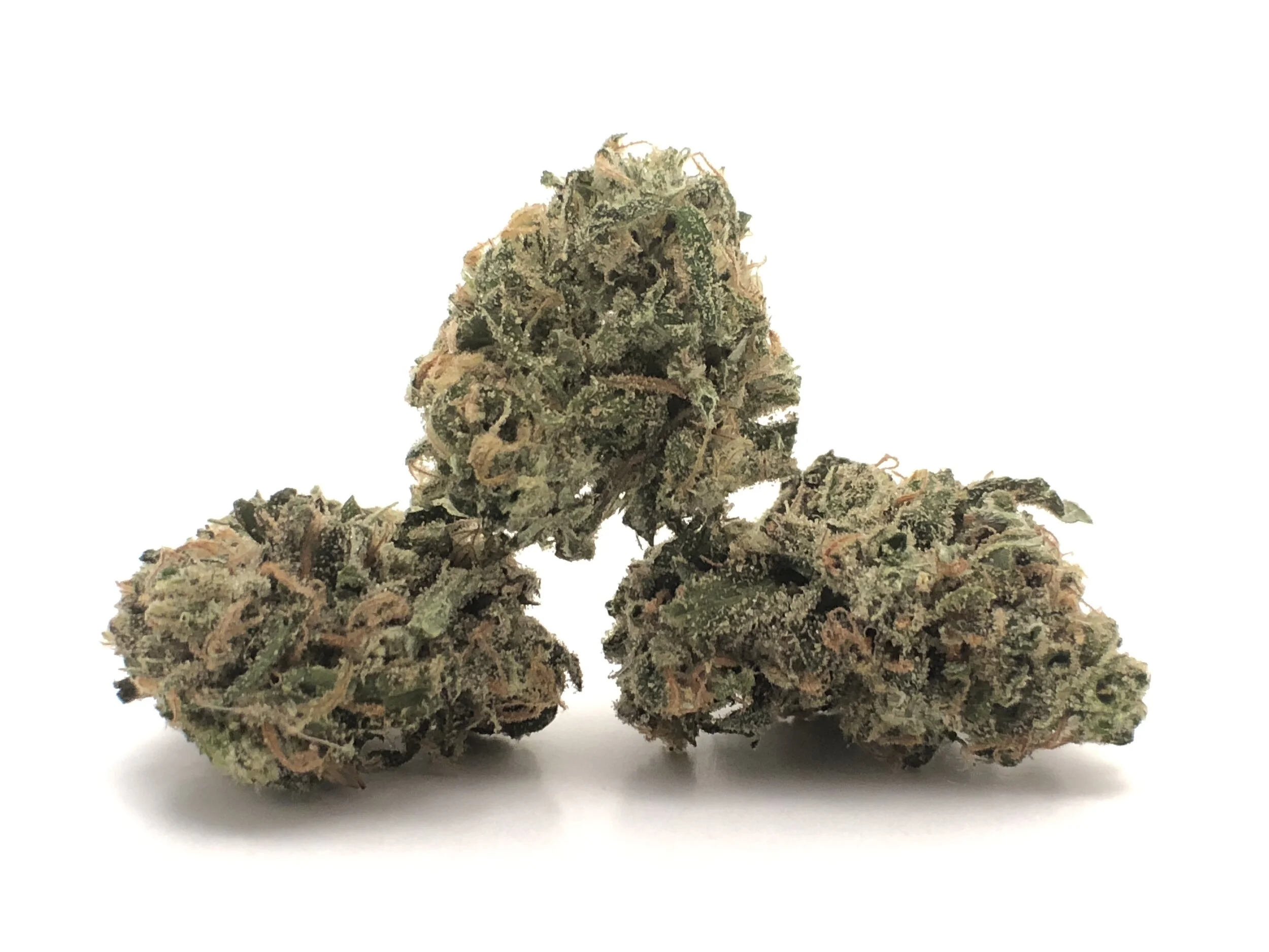 jack-herer.jpg