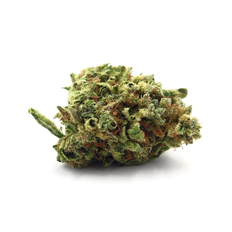 Green Shock Farms Tahoe Nebula