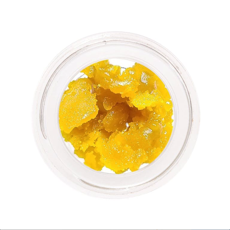 Terpure Jungle Wedding Resin