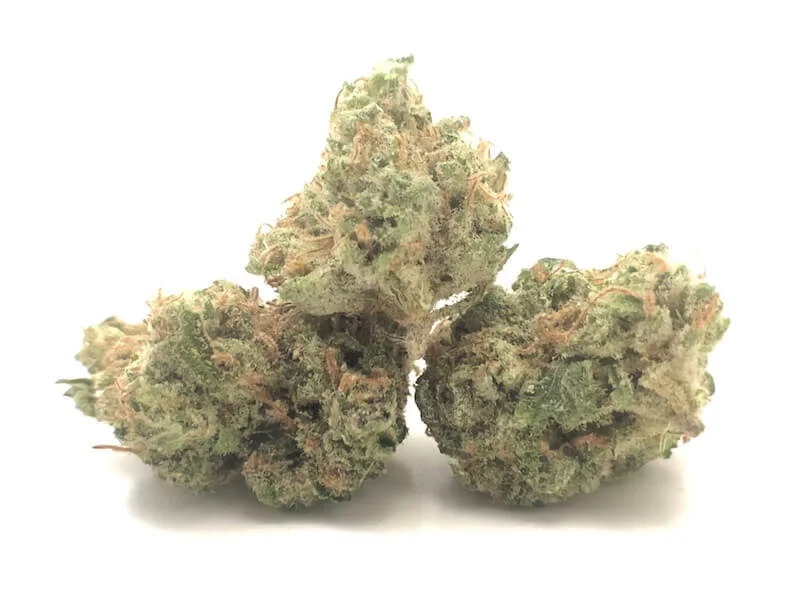 blue-papaya-punch.jpg