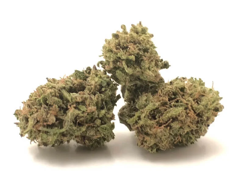 blackberry-kush.jpg