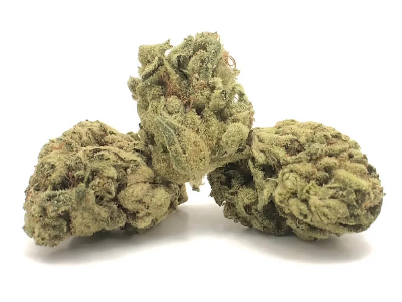 wifi-og.jpg