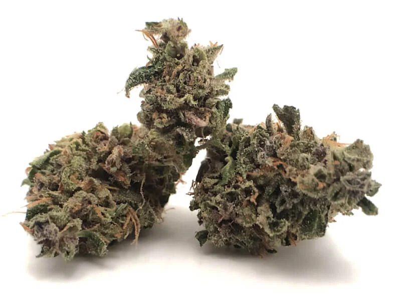 holy-grail-og.jpg