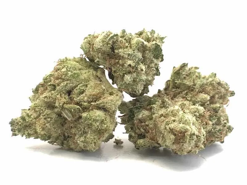gorilla-glue-4.jpg