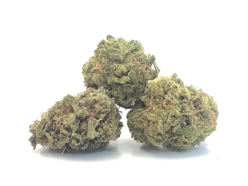 tangie.jpg