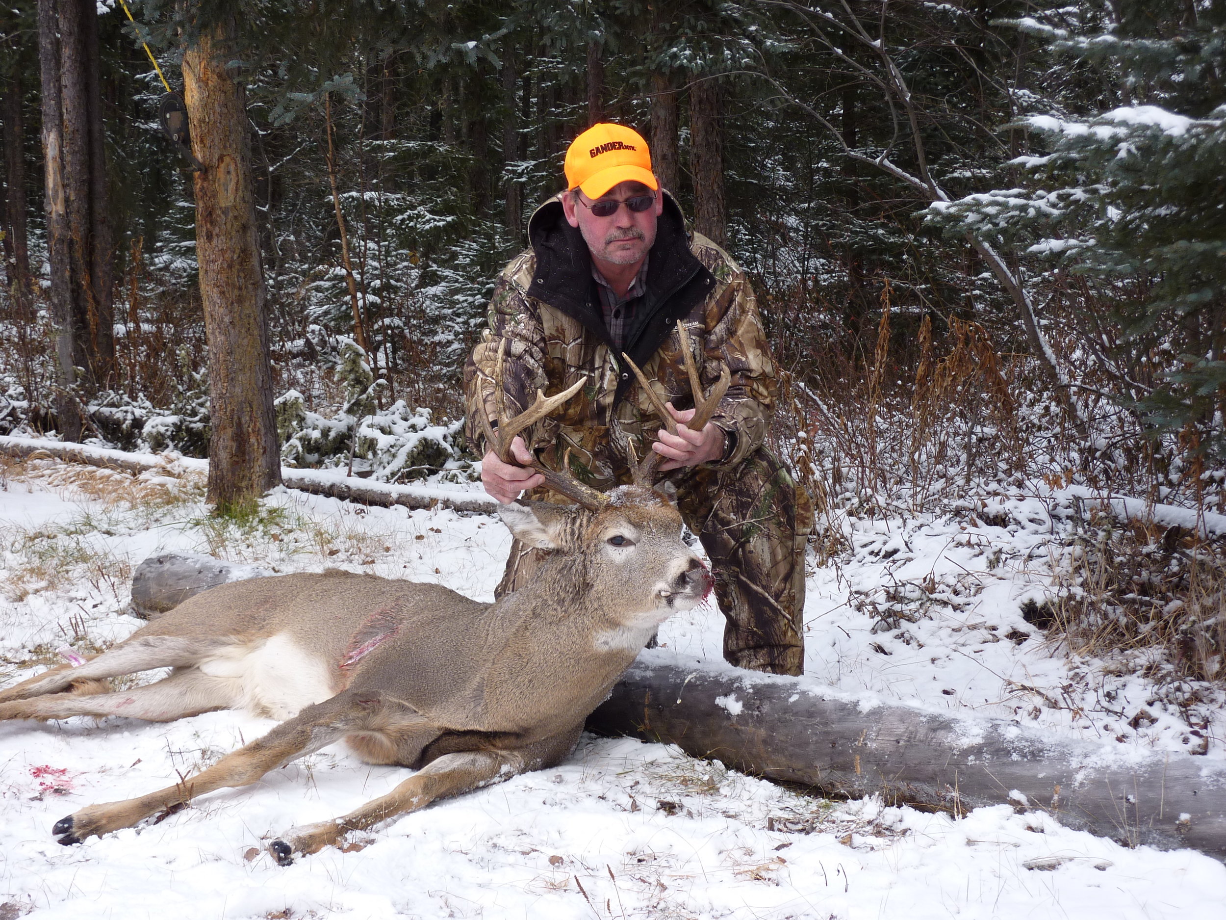 deer 2010 002.jpg