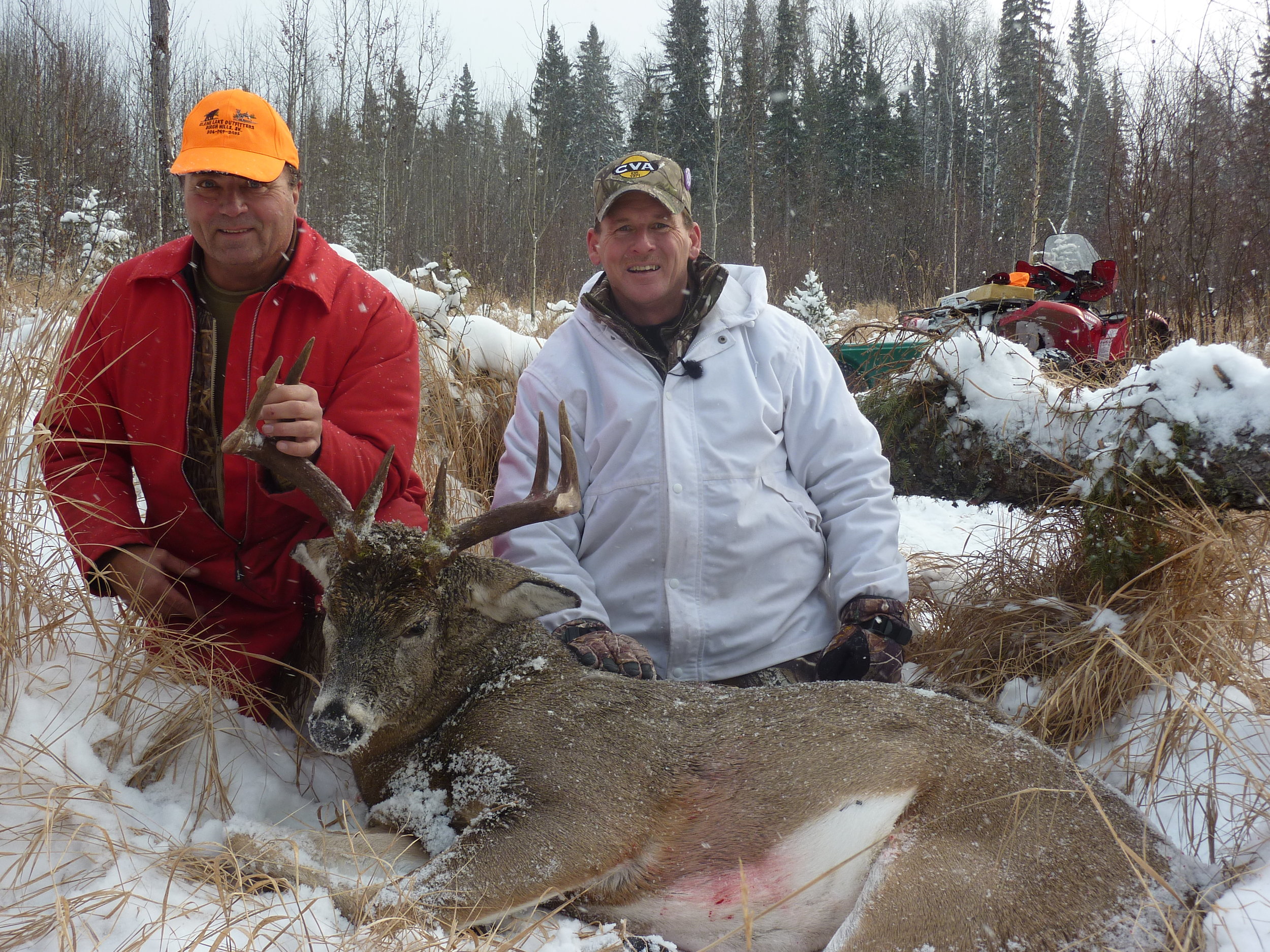 deer 2011 002.jpg