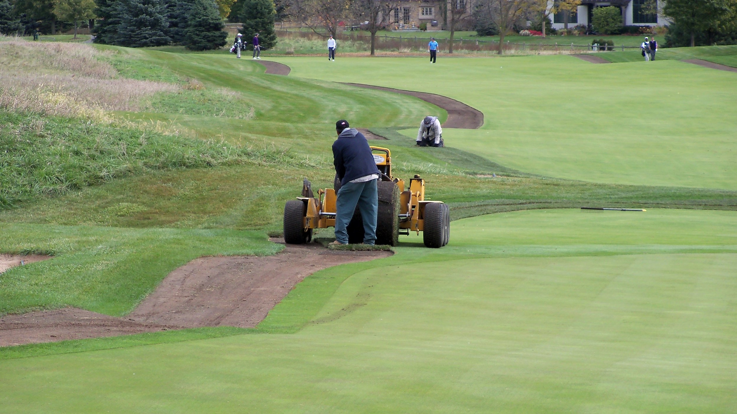 Bluegrass Fairway Install