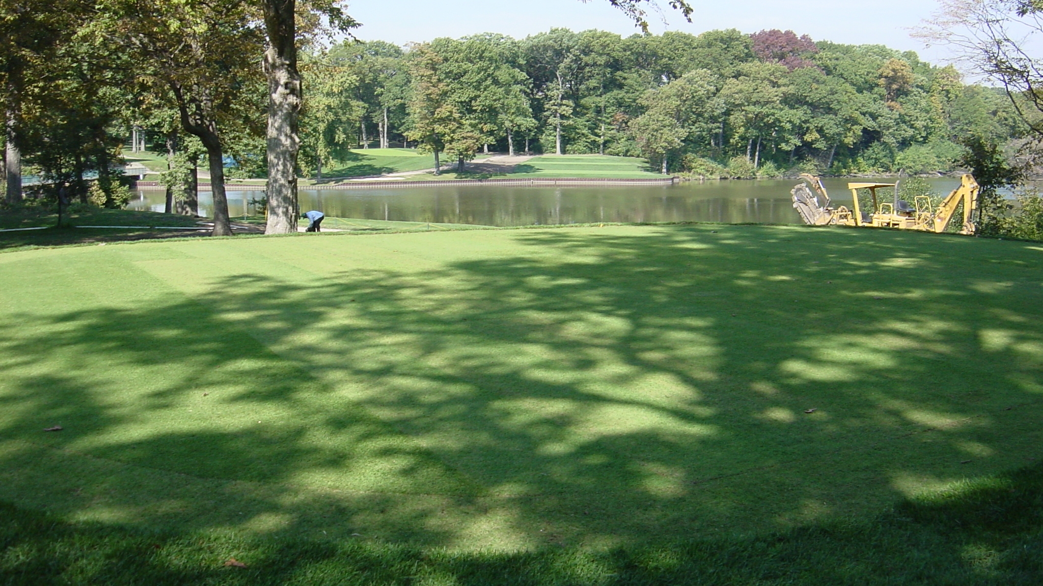 Bentgrass Putting Green