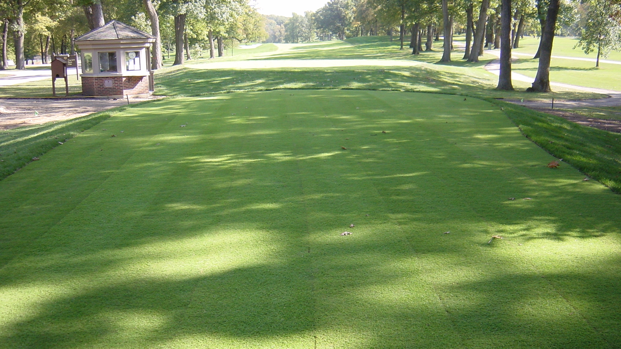 Bentgrass Teeing Install