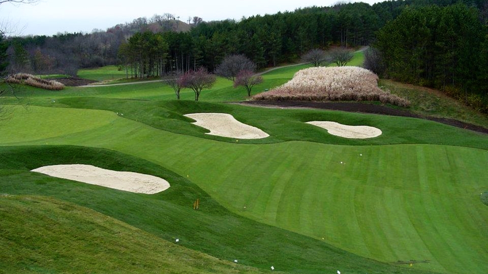 Golf course bentgrass installation, after