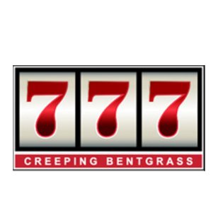  777 Creeping Bentgrass by GreenSource USA 