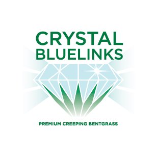 Crystal Bluelinks premium bentgrass by Green Source 