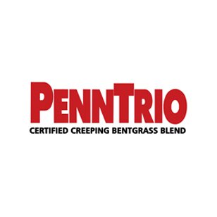  PennTrio Bentgrass by GreenSource USA 