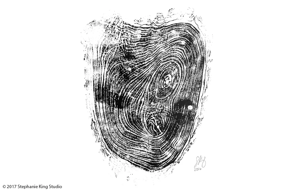 Stephanie_KIng_Tree_Ring_2.jpg