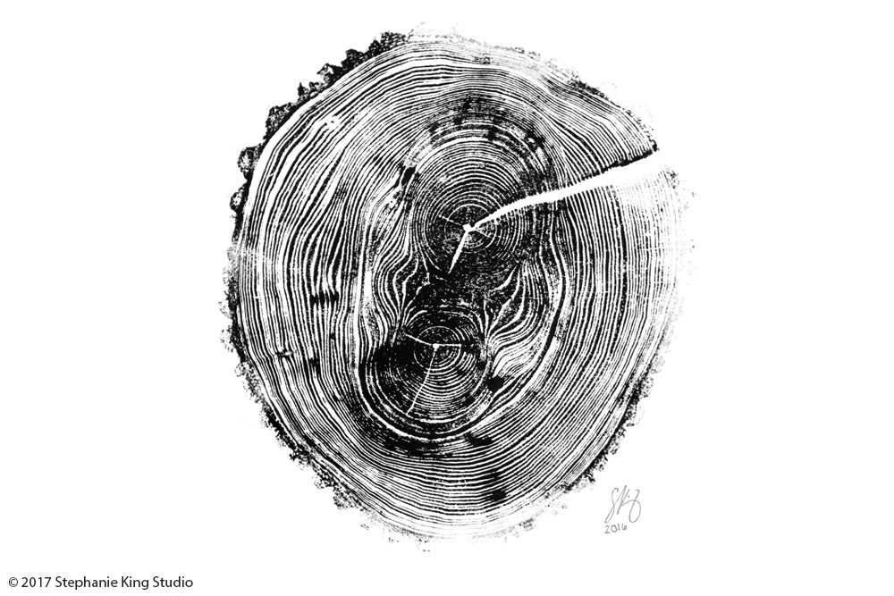 Stephanie_KIng_Tree_Ring_1.jpg