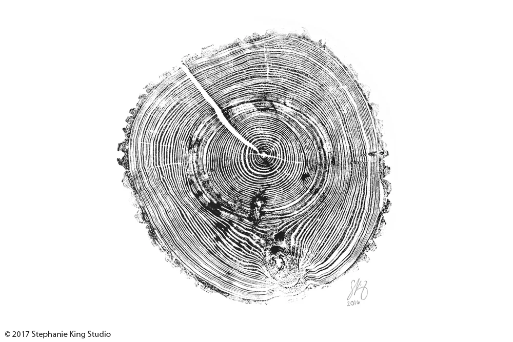 Stephanie_KIng_Tree_Ring_3.jpg