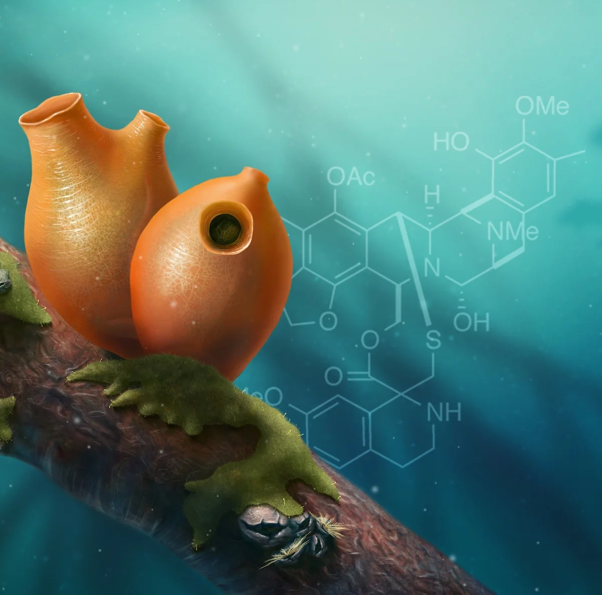 Gut_reaction_rough_draft_art_10 copy.jpg